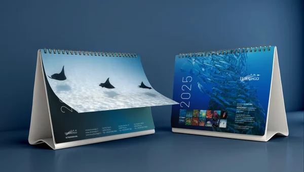 immagine per Prenota il Calendario UltraViaggi 2025 e Sostieni con noi gli Oceani!